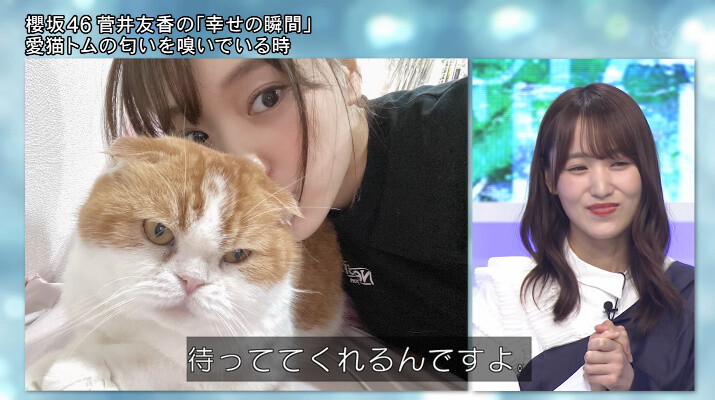 櫻坂46 空気を読むゆっかーの愛猫トムwwww 坂道まとまとめ速報 櫻坂46 空気を読むゆっかーの愛猫トムwwww 坂道まとまとめ速報