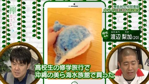 欅坂46 渡辺梨加 アオコをお揃いにしよう 手に入れる方法を調べた結果wwww 美ら海水族館 サメ ぬいぐるみ 画像あり 櫻坂46まとめもり