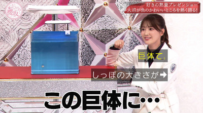 bandicam 2022-05-30 00-50-03-302