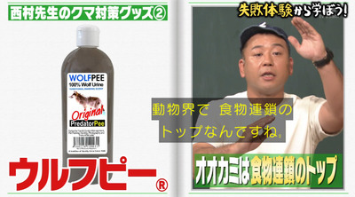 bandicam 2020-11-17 05-39-17-327