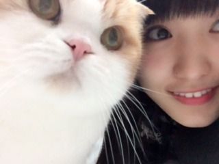 欅坂46 菅井友香の愛猫tomにライバルが こいつは悪い顔してるわwwww 画像あり 櫻坂46まとめもり 欅坂46 菅井友香の愛猫tomにライバルが こいつは悪い顔してるわwwww 画像あり 櫻坂46まとめもり