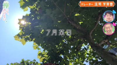 f015b7dc-s