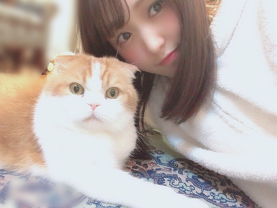 菅井友香 愛猫トムへ澤部さんから貰った 猫鍋 の現在を報告w 櫻坂46まとめもり 菅井友香 愛猫トムへ澤部さんから貰った 猫鍋 の現在を報告w 櫻坂46まとめもり