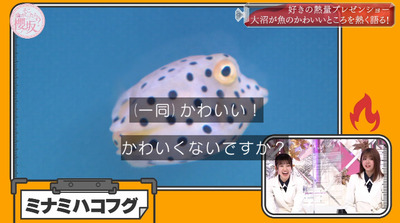 bandicam 2022-05-30 00-49-42-166