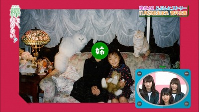 欅坂46 菅井友香に姉が居ることが発覚 幼少期の写真からもお嬢様が伝わるなwww じぶんヒストリー 櫻坂46まとめもり 欅坂46 菅井友香に姉が居ることが発覚 幼少期の写真からもお嬢様が伝わるなwww じぶんヒストリー 櫻坂46まとめもり