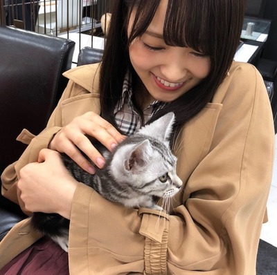 菅井友香 愛猫トムに 猫鍋 を与えた結果www 櫻坂46まとめもり 菅井友香 愛猫トムに 猫鍋 を与えた結果www 櫻坂46まとめもり