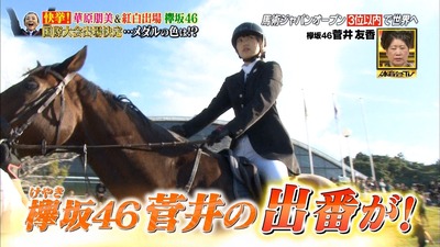欅坂46 菅井友香 テレキシオと馬術大会で脅威の点数を叩き出す そして順位は 炎の体育会tv 後編 櫻坂46まとめもり