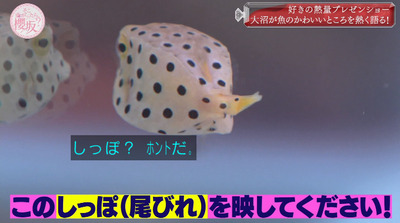 bandicam 2022-05-30 00-50-00-659