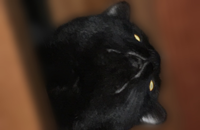 Screenshot_2020-04-22