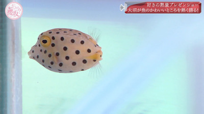 bandicam 2022-05-30 00-50-22-594