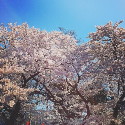 f050e27b319275170ab39969fd35d-01