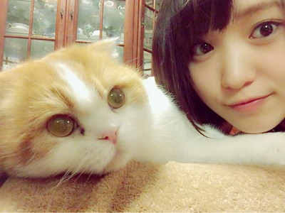 欅坂46 びっくり 菅井友香 猫アレルギーだった事が判明 トムゥゥゥウウウウ レコメン 櫻坂46まとめもり 欅坂46 びっくり 菅井友香 猫アレルギーだった事が判明 トムゥゥゥウウウウ レコメン 櫻坂46まとめもり