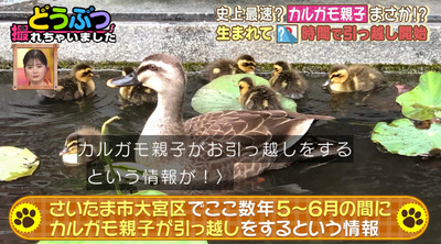 bandicam 2022-06-23 19-01-43-908