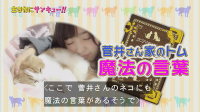 bandicam 2018-04-04 20-28-56-592