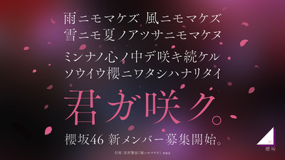 sakura_KV_PC