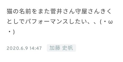 欅坂46 日向坂46の合同ライブ 櫻坂46まとめもり