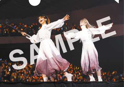 A5_ClearFolder_sample_1