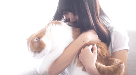 bandicam 2016-05-31 03-17-29-751