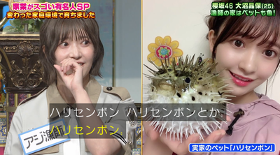 bandicam 2025-09-30 20-46-50-790