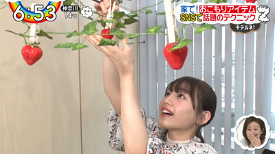 bandicam 2020-03-31 06-53-24-208