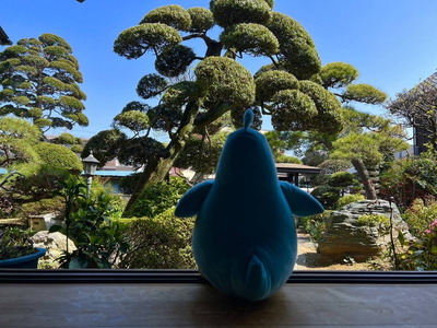 poka_0426_9_ijjsfieheshfsh8ghs8hs8hg