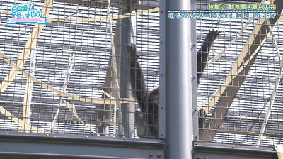 bandicam 2019-10-28 01-14-04-396