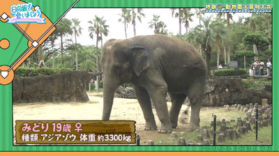 bandicam 2019-10-28 01-09-26-695