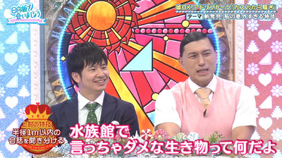 bandicam 2019-09-09 01-16-21-448