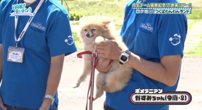 bandicam 2022-07-11 02-24-55-937