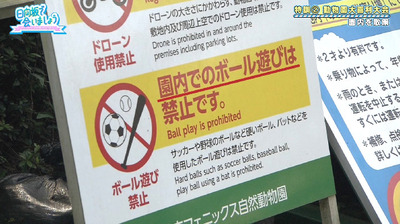 bandicam 2019-10-28 01-08-56-696