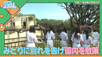 bandicam 2019-10-28 01-11-07-871