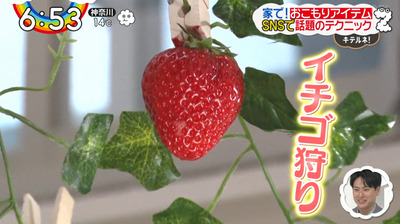 bandicam 2020-03-31 06-53-29-089