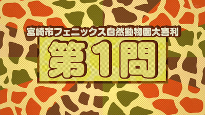 bandicam 2019-10-28 01-09-49-189