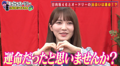 日向坂46 オードリーとの19年がハンパなかった件 日向坂46まとめもり 日向坂46 オードリーとの19年がハンパなかった件 日向坂46まとめもり