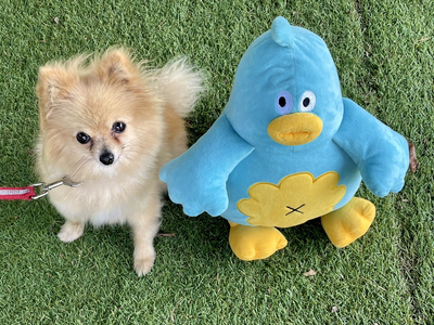 poka_0812_1_fiwh8f83ffhe8wh8feh8fe98e