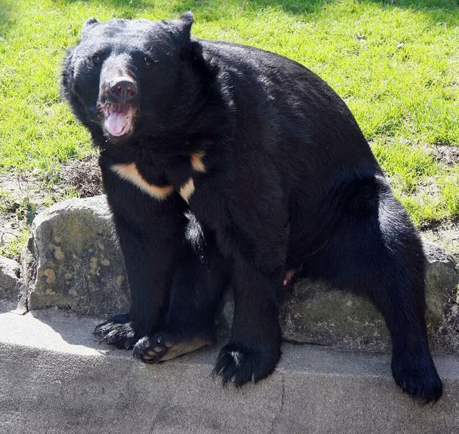 img_f4c2e241773fe4b54f3c60cc64be3a52439837