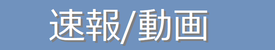 無題 速報