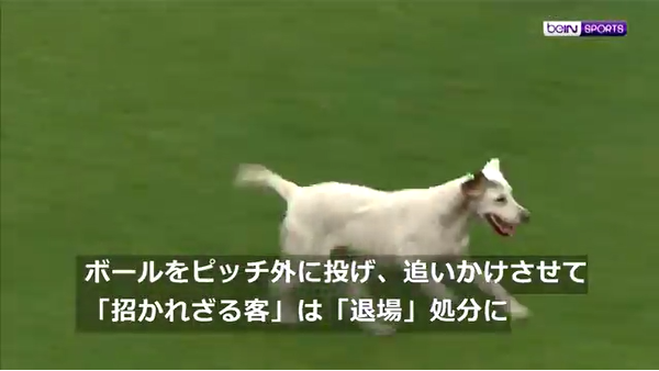 66c50791e06fd6a3f8e779740218bfa6[1]