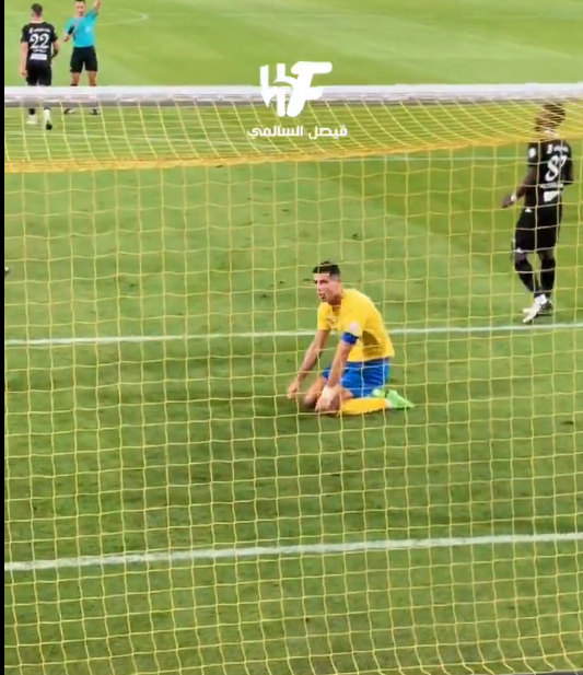 231d853fa468df23674873d276c646cd