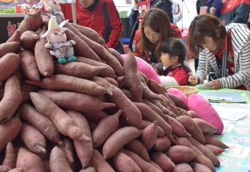14949443305121_1[1]
