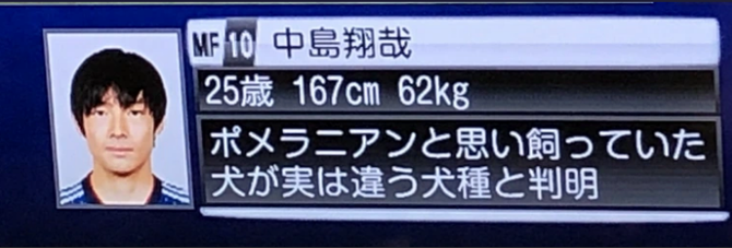 8e6497adf363d6b7c179eb15f75747a7