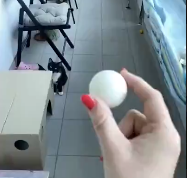 6d5f978d36fdc8b3001794b6cfa9fc64