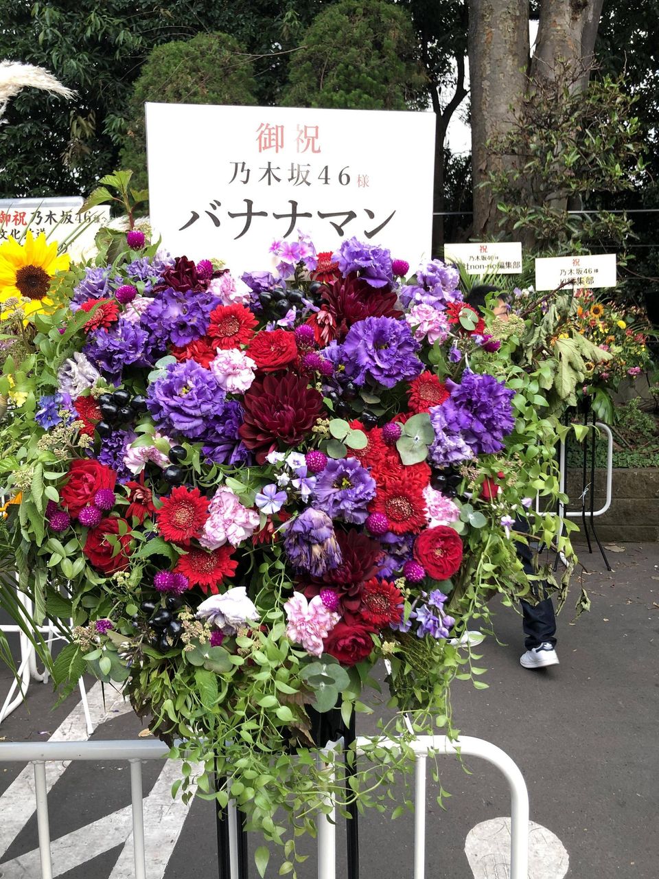 乃木坂46 バナナマンの祝花 桜井玲香のサイリウムカラーと乃木坂の色だよね 乃木坂46箱推し