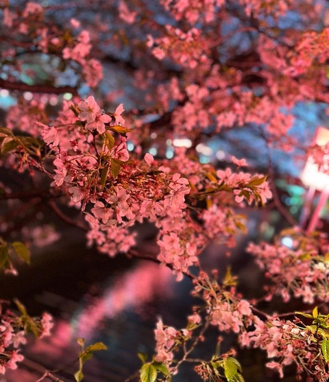 340203360_269682482226573_5693342112962319578_n