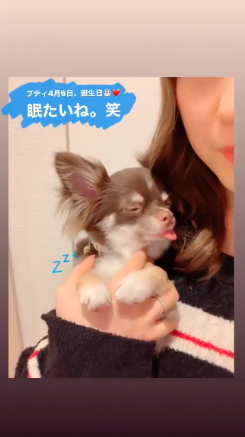スクリーンショット 2020-04-07 5.40.34