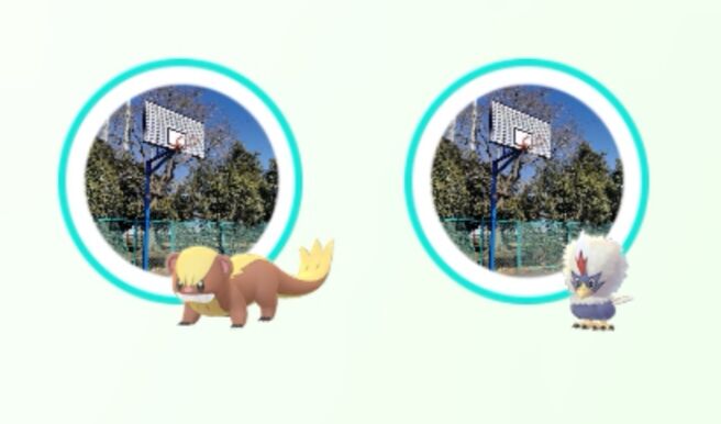 ポケモンgo 野生に ハピナス モノズ ワシボン 今シーズンのレア湧きイツメン ポケモンgo 野生に ハピナス モノズ ワシボン 今シーズンのレア湧きイツメン