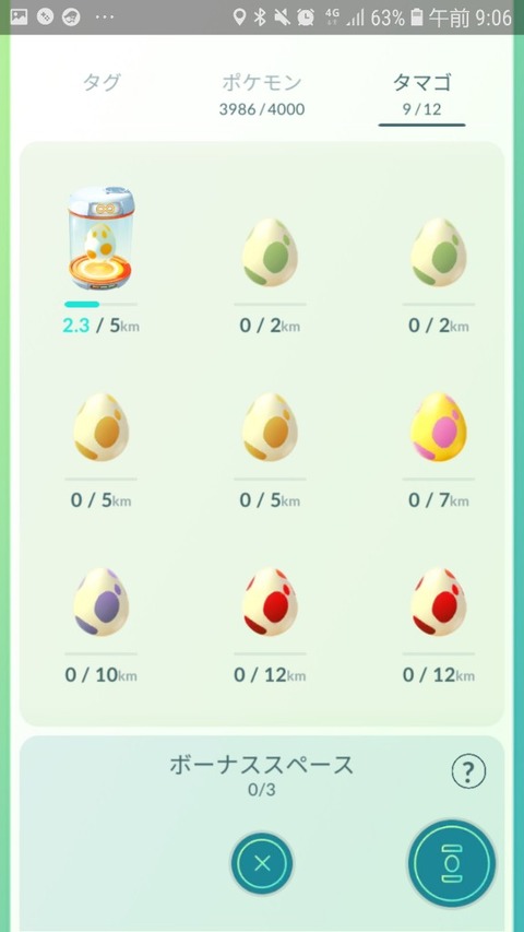 pokego_1614526648_12201