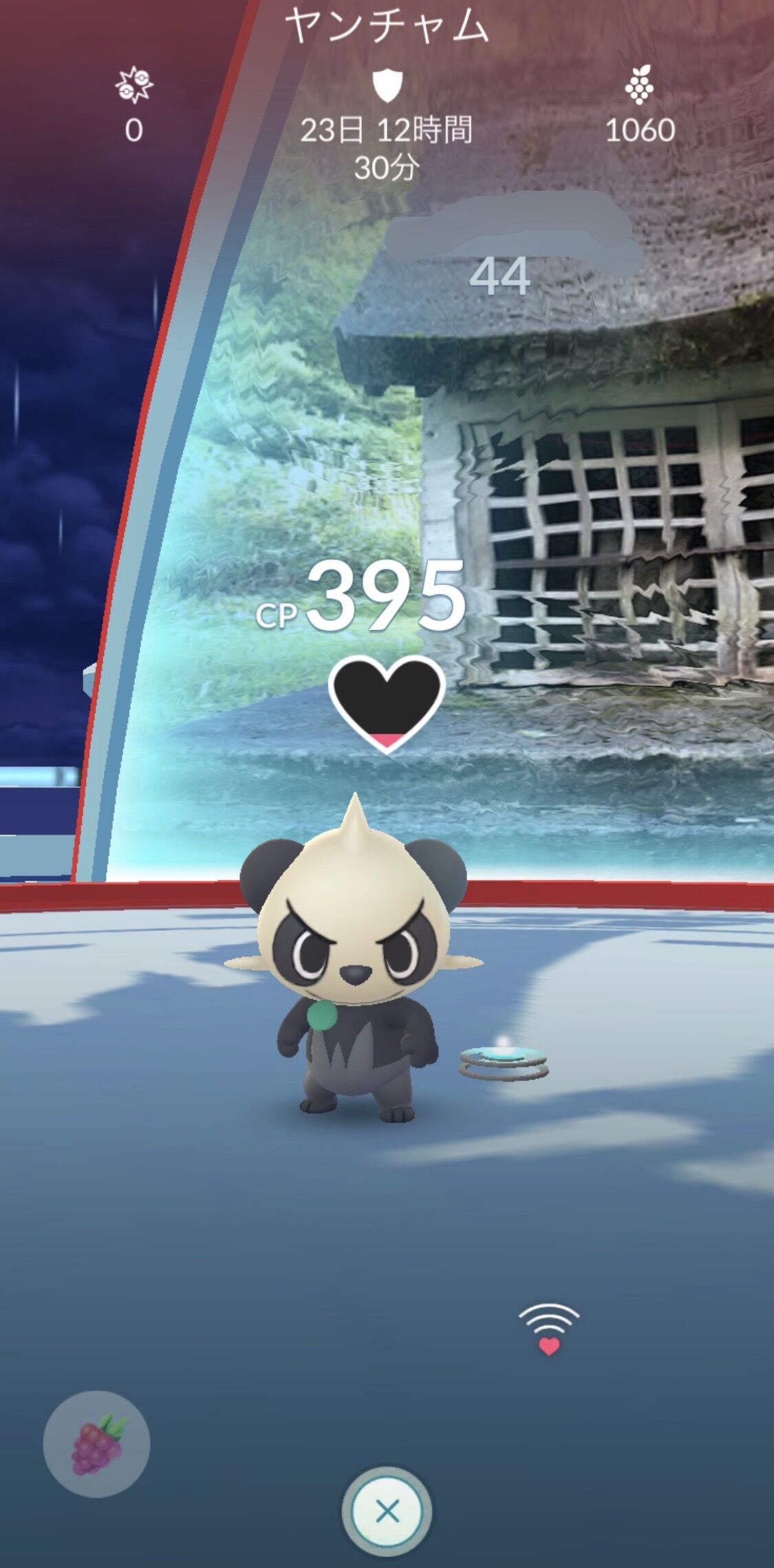 ポケモンgoでヤンチャムを進化させたいのに餌付けされて帰って来ない W