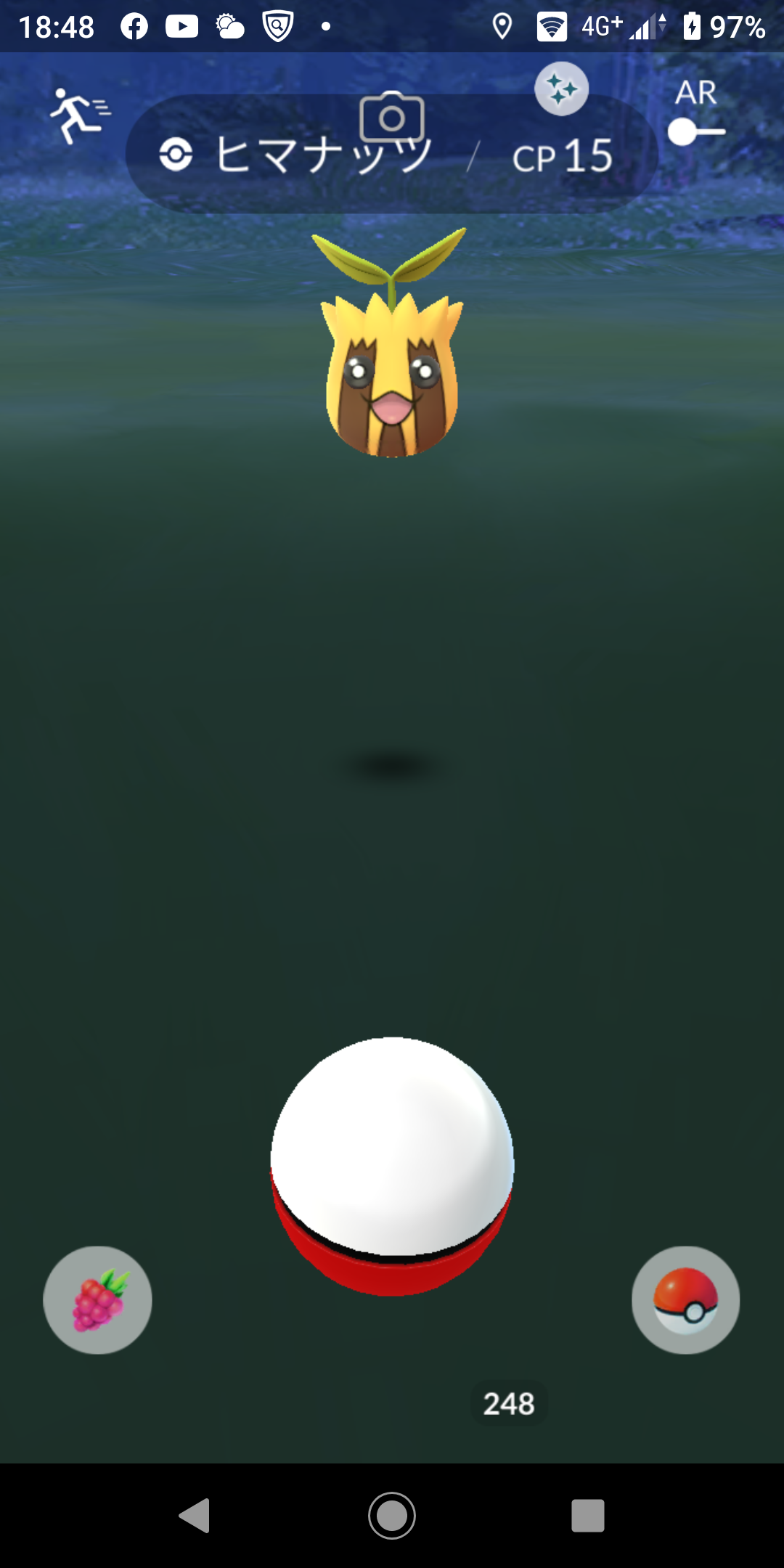 ポケgo ヒマナッツ大量発生だから キマワリ をpvp運用したいと思う こいつは強いの ポケgo ヒマナッツ大量発生だから キマワリ をpvp運用したいと思う こいつは強いの