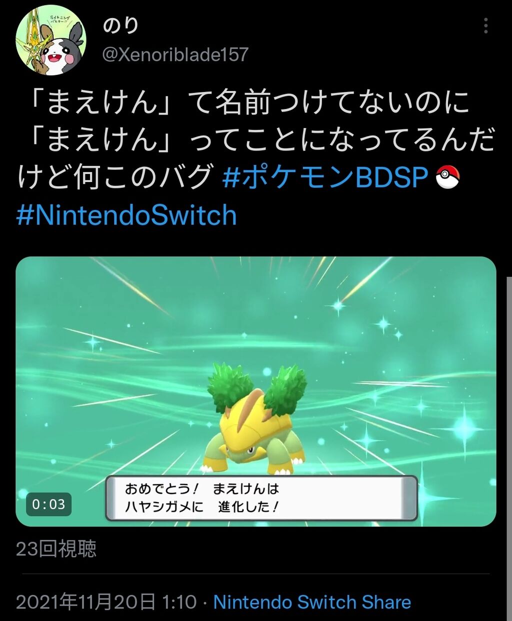 ダイパリメイクで名前がコロコロ変わるバグが面白過ぎるｗｗｗ セジュンバグ